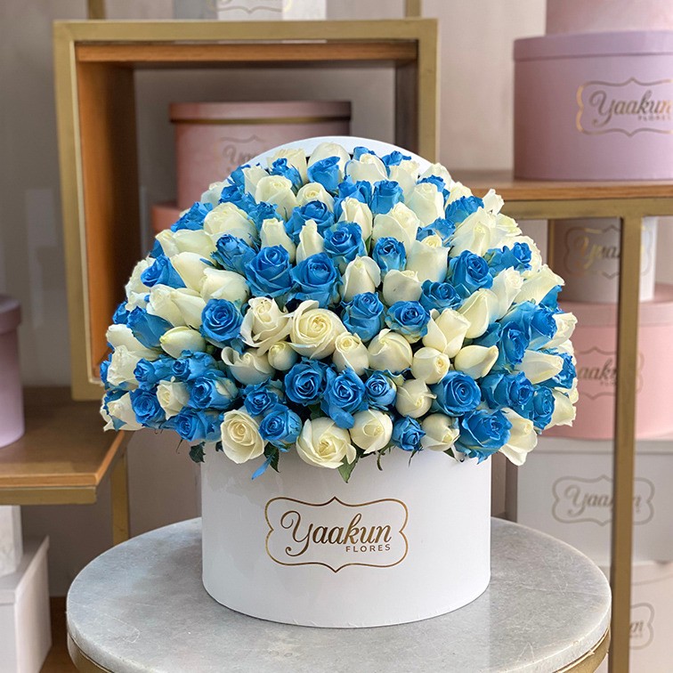 150 rosas en caja redonda blanca especial azul & blanco