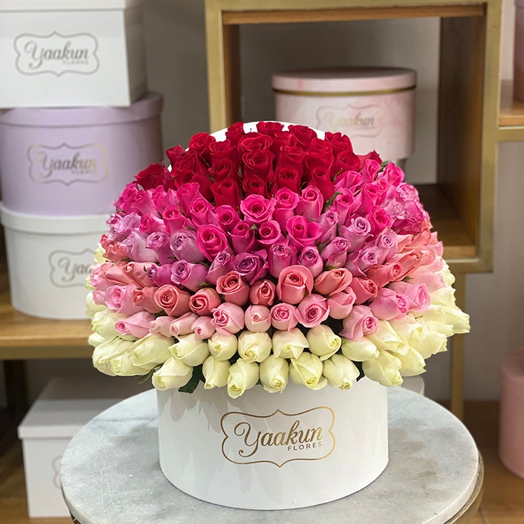 150 rosas en caja redonda degrade especial lovely
