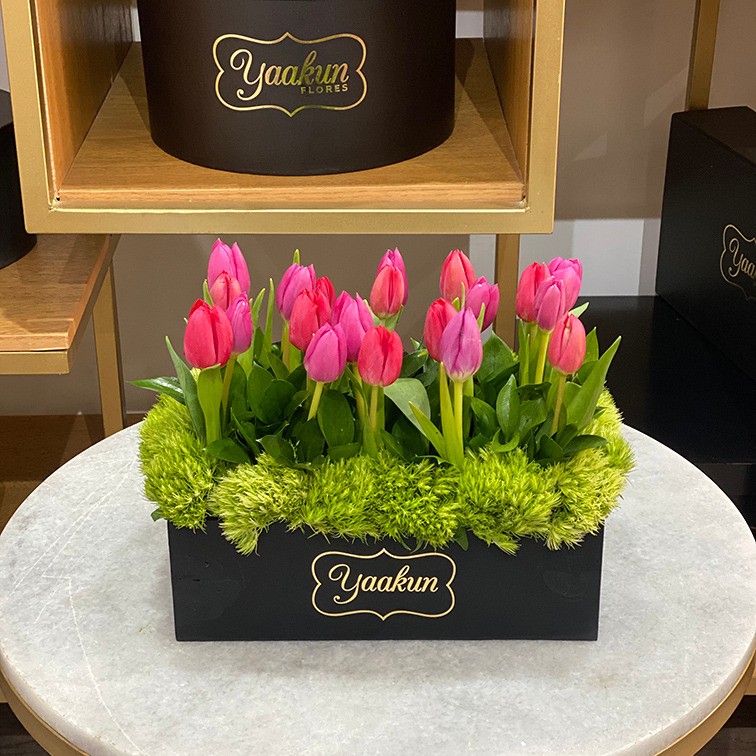 20 tulipanes en caja mini yaakun tulipán rojo & rosa