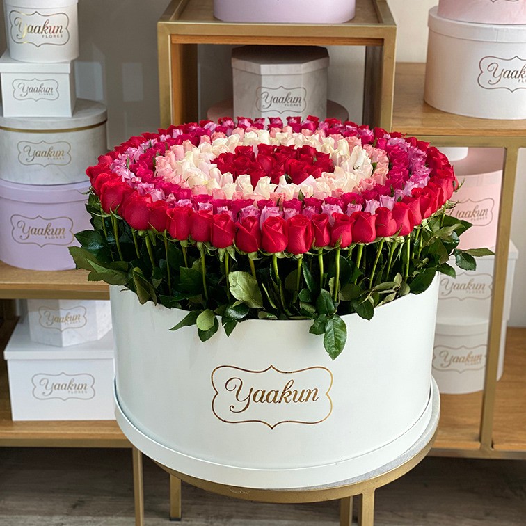 300 rosas en maxi caja circular blanca degrade