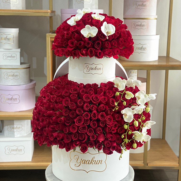 500 rosas & orquídeas en doble caja