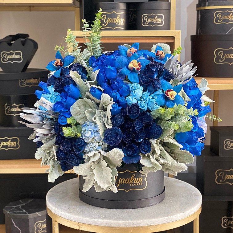 Caja circular negra con 200 rosas en 3 tonos de azul,miller y orquídeas cymbidum azul