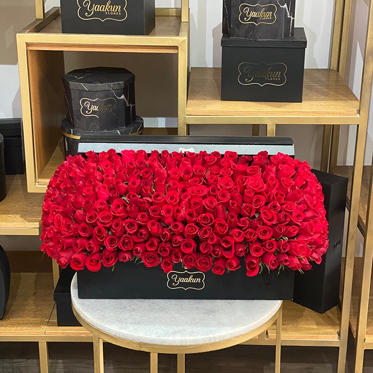 Cofre grande negro con 220 rosas rojas
