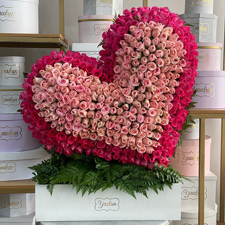 Corazón en escultura de 400 rosas inclinado en caja blanca contorno fucsia y centro rosas pink