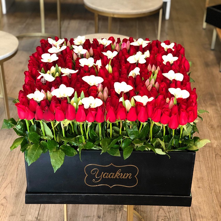 Maxi caja negra cuadrada con 300 rosas, 50 tulipanes y orqudeas blancas phalenosis