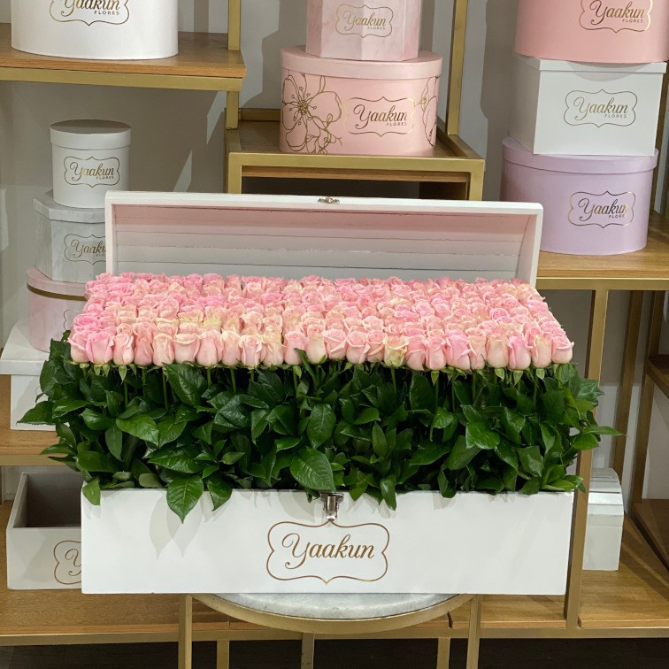 Mega cofre blanco con 240 rosas garden pink
