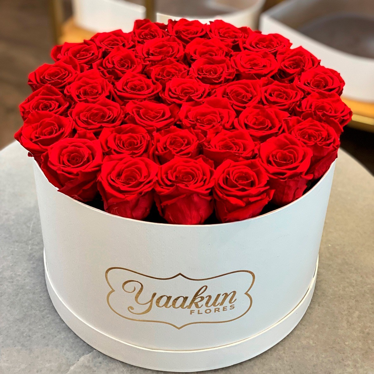 Rosas eternas en caja blanca circular rosas rojas
