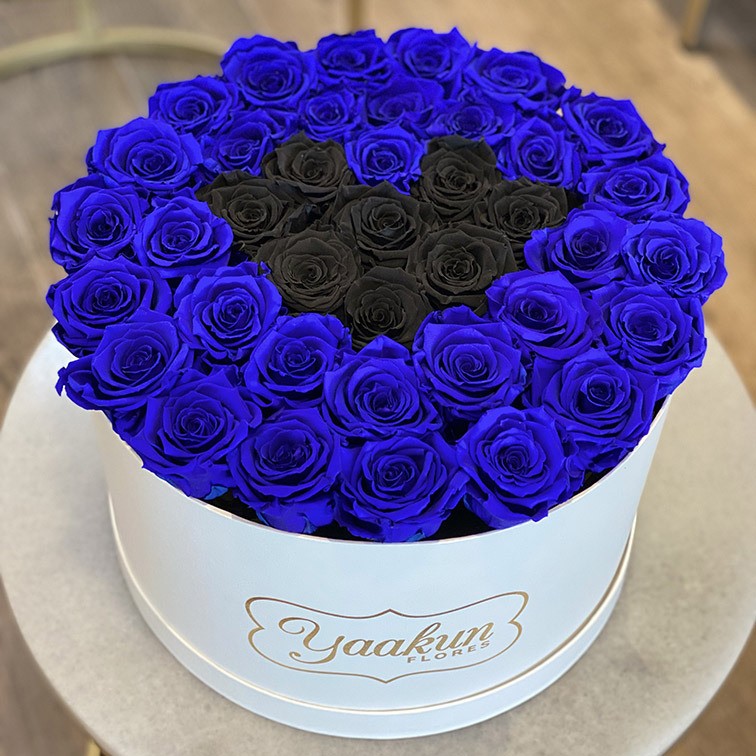 Rosas eternas en caja circular grande blue & black