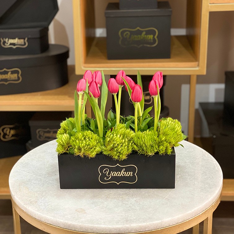 10 tulipanes en caja mini yaakun tulipán rojo