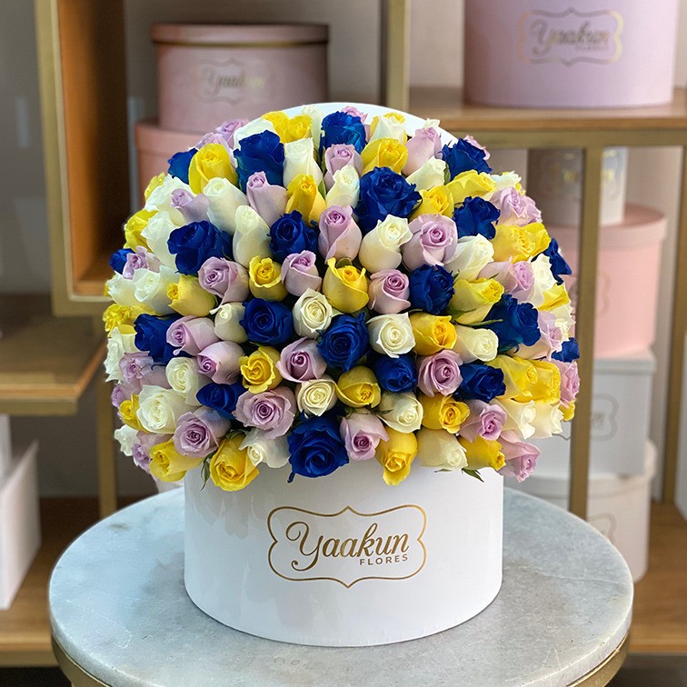 150 rosas en caja redonda blanca con tonos lila, blanco, amarillo y azul