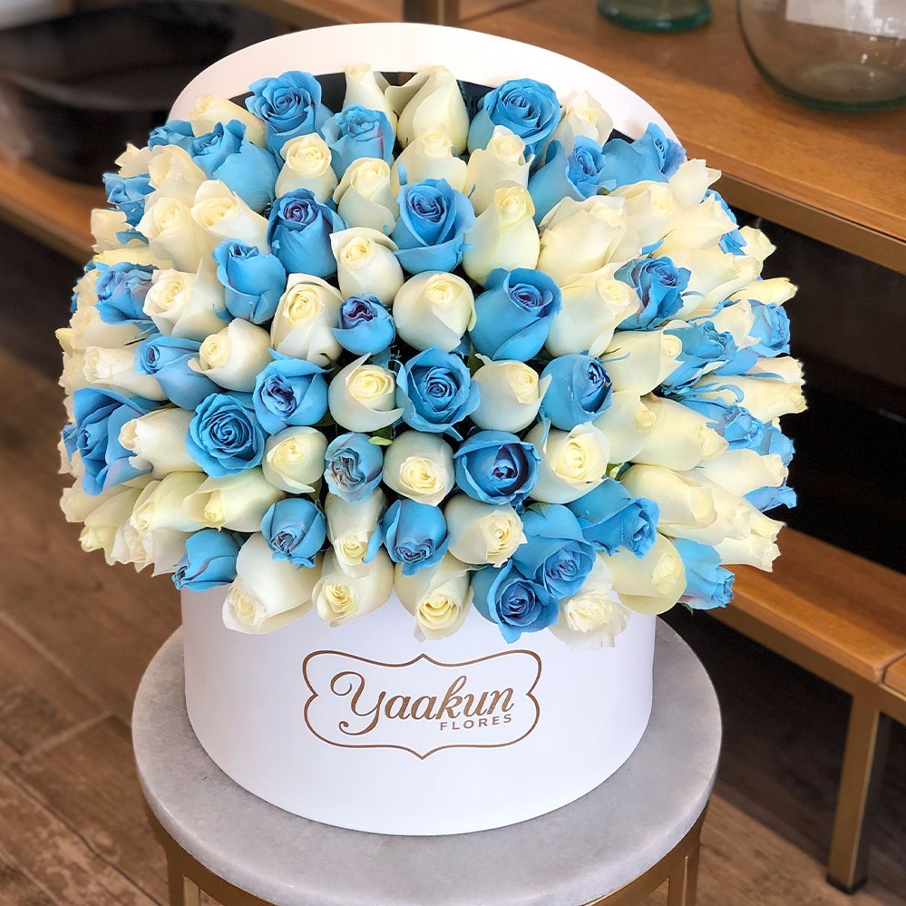 150 rosas en caja redonda blanca  especial azul & blanco