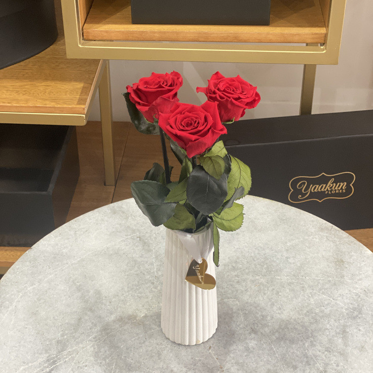 3 rosas eternas rojas en jarron blanco