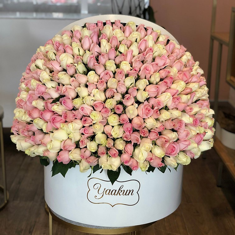 500 rosas en caja redonda blanca media esfera white & pink