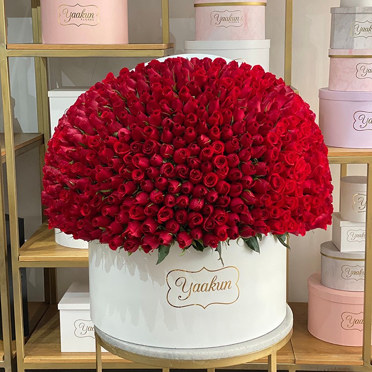 500 rosas rojas en caja redonda blanca media esfera