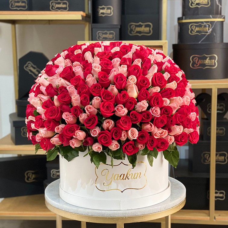 500 rosas rojas & hermosas en caja redonda blanca