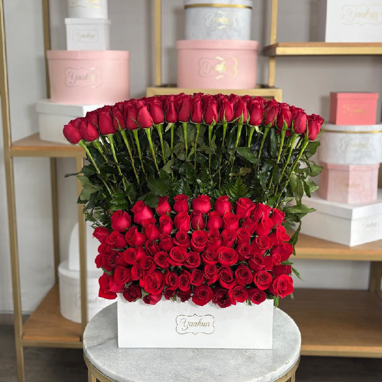 Abanico de 250 rosas rojas en caja blanca