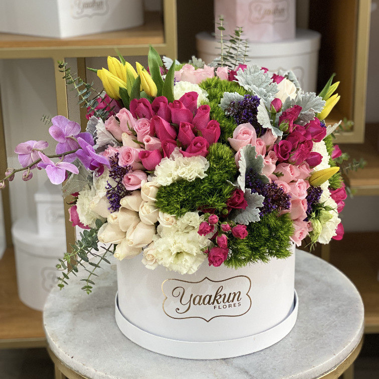 Caja circular blanca con 75 rosas en tonos rositas y 10 tulipanes amarillos