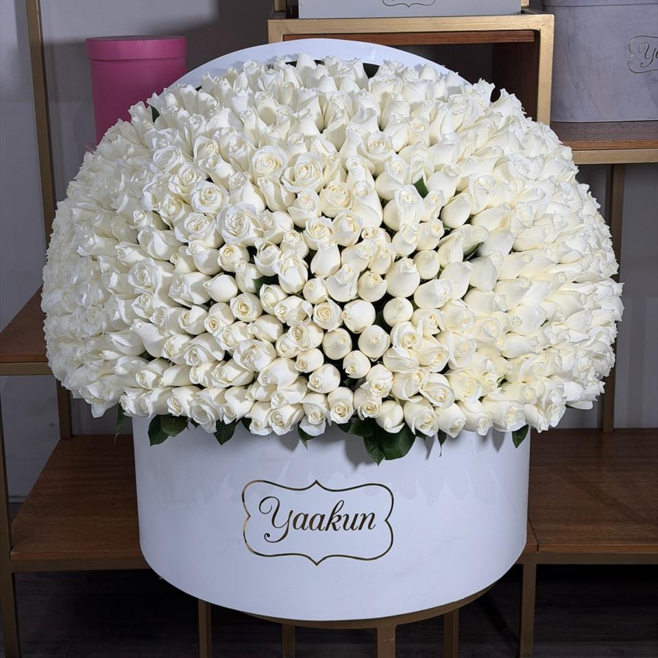 Caja circular blanca, media esfera de 500 rosas blancas