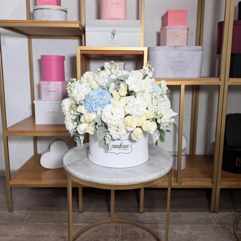 Caja circular blanca, rosa blanca, miller, lisianthus y hortensia azul
