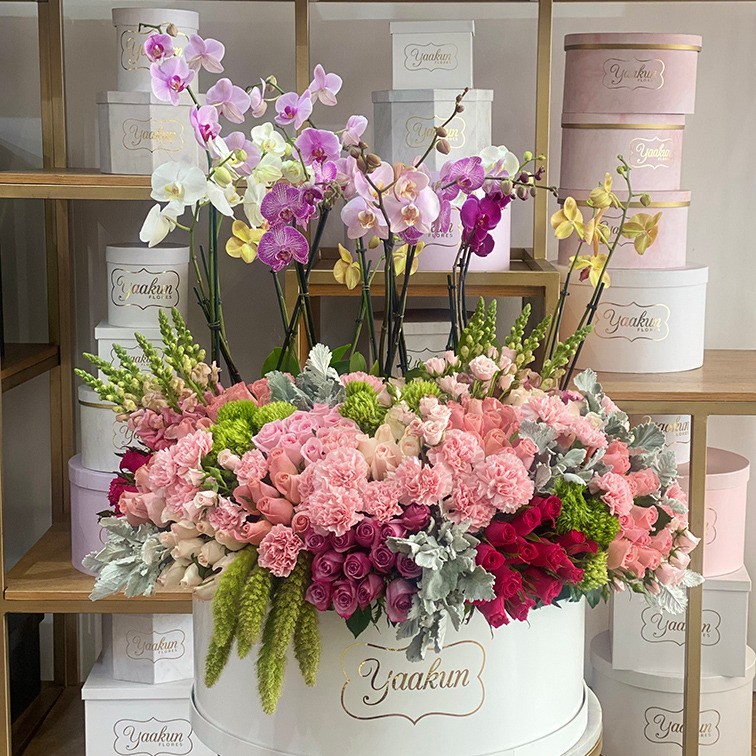 Caja circular grande con 200 rosas en tono pastel y orquídeas phalenosis