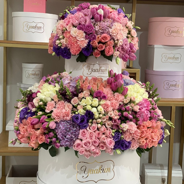 Caja doble piso en tonos pastel en cajas blancas