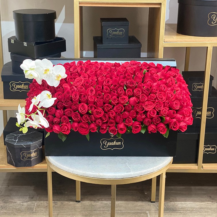 Cofre grande negro con 220 rosas rojas con orquídeas