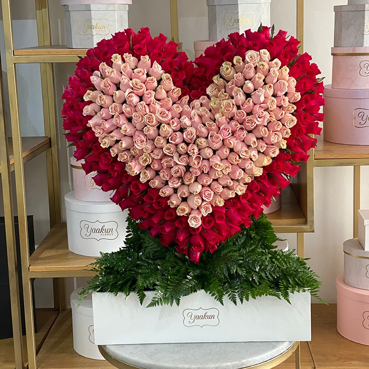 CORAZÓN DE 300 ROSAS PARADO EN ESCULTURA ROSITA CON CONTORNO FUCSIA EN CAJA BLANCA