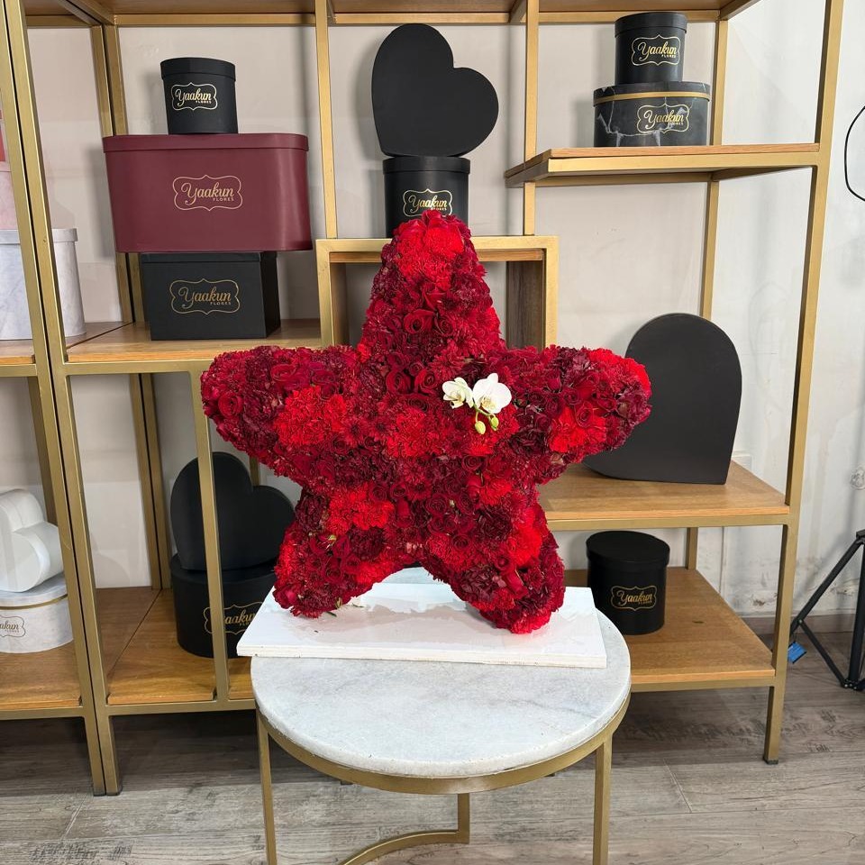 Escultura de estrella red 