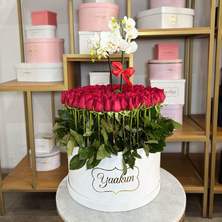 MAXI CAJA BLANCA CON 150 ROSAS ROJAS Y MACETA DE PHALENOSIS BLANCA