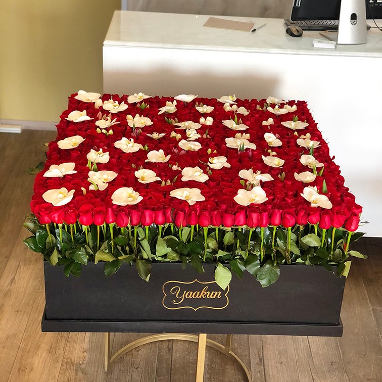 Maxi caja cuadrada negra con 800 rosas rojas, orquídea phalenosis y 100 tulipanes