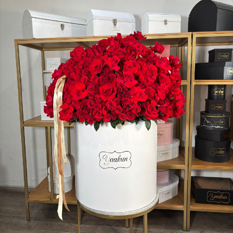 Maxi cilindro blanco con 500 rosas rojas