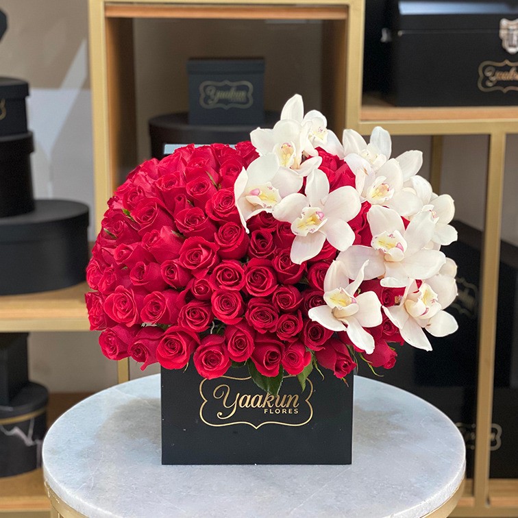 Media esfera de 150 rosas rojas & orquídeas en caja yaakun especial cymbidium