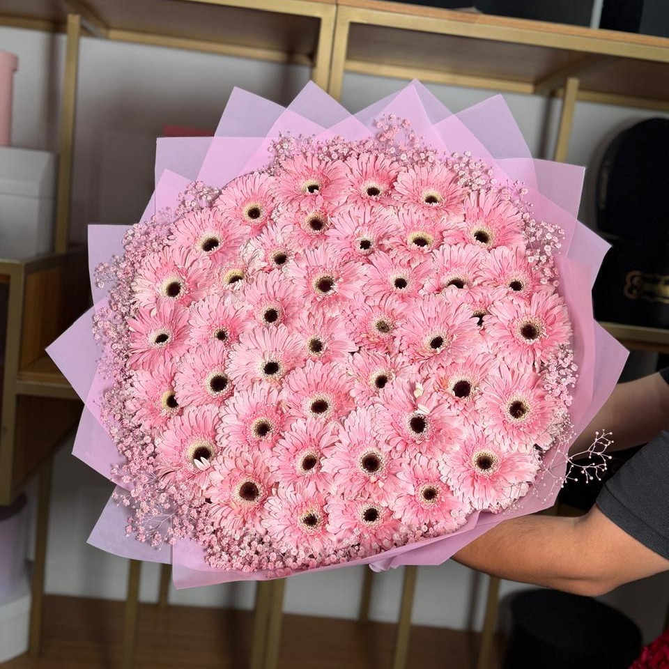 Ramo de 60 gerberas rositas con gypso rosita