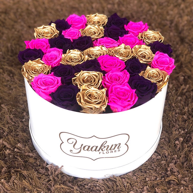 Rosas eternas en caja circular blanca gold , fucsia & purpura