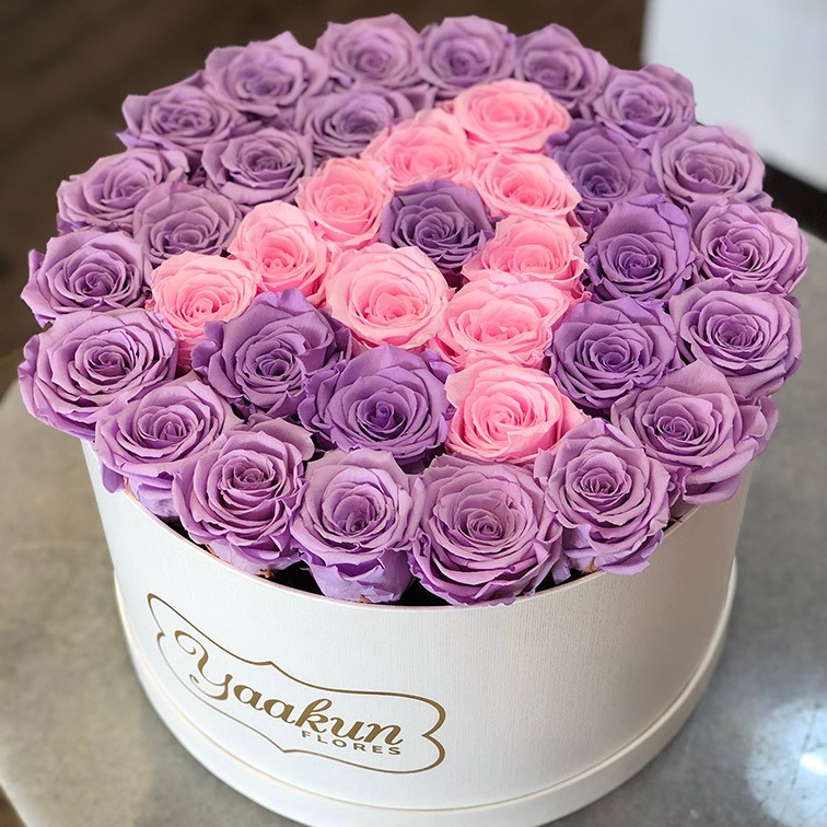 Rosas eternas en caja circular blanca grande lila & pink
