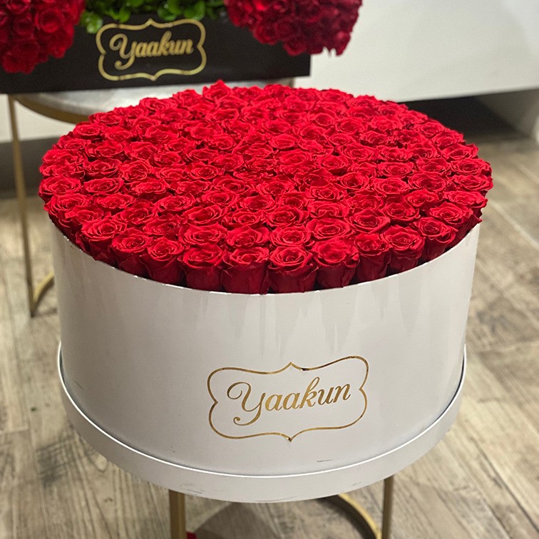 Rosas eternas en mega caja circular blanca con 115 rosas rojas